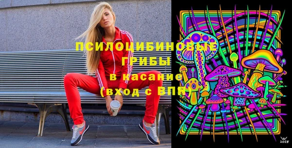 дурь Лиски