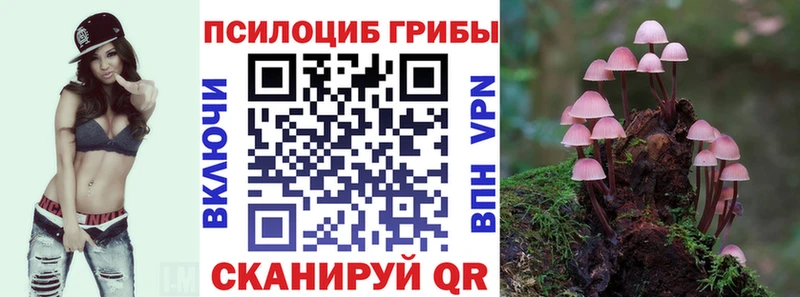 Купить  Красноперекопск  Псилоцибиновые грибы GOLDEN TEACHER 